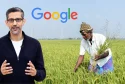 Google AI in agriculture