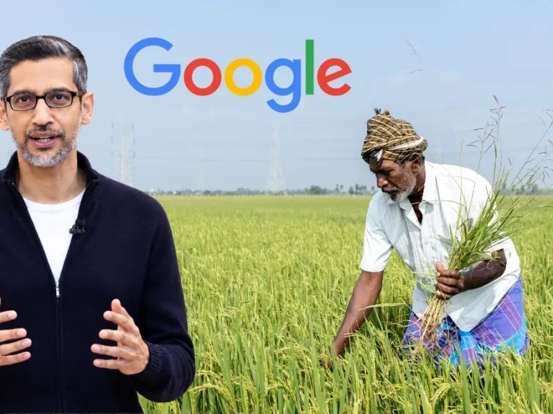 Google AI in agriculture