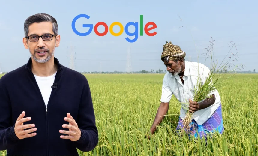 Google AI in agriculture