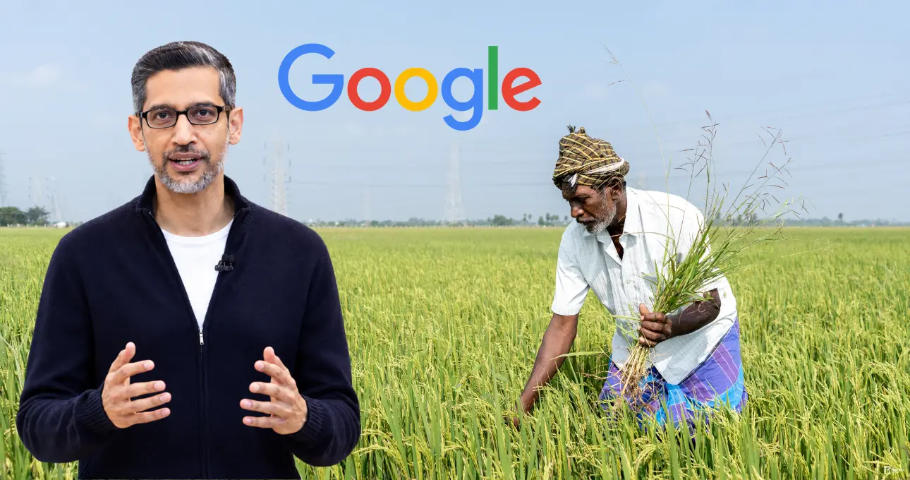 Google AI in agriculture