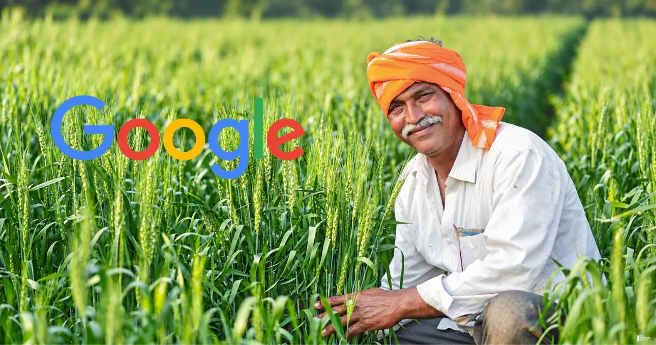 Google.org $15 million grant